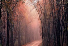 [NBA]詹姆斯父子同场得分 大胜奇才.