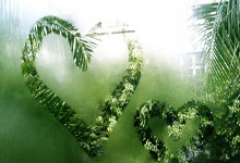 唇语专家何在?解读廷贝尔和马雷斯卡说了些啥.